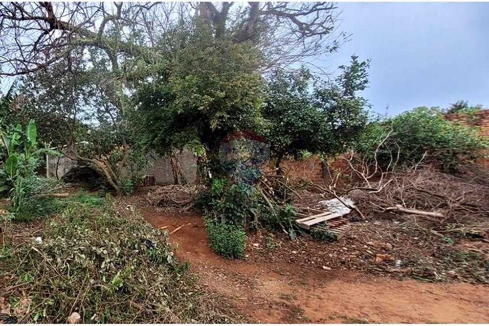 Gyvenamasis - Žemės sklypas - Paragvajus Alto Paraná Ciudad Del Este - PY - T CDE 1.jpeg - 143094036-28