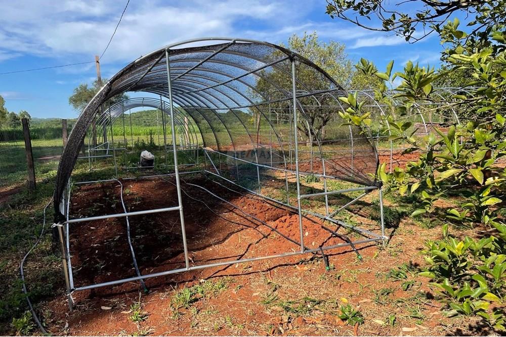 Commercial - Maatila - Paraguay Itapúa Trinidad - PY - WhatsApp Image 2024-09-13 at 1.01.01 PM.jpeg - 143036096-16