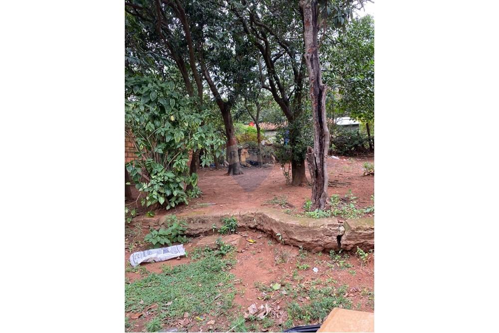 Жилищен - Поземлен имот - Парагвай Central San Lorenzo - PY - 0cfb4373-1cd2-4557-b821-15c25ad03ab7.jpeg - 143080161-6