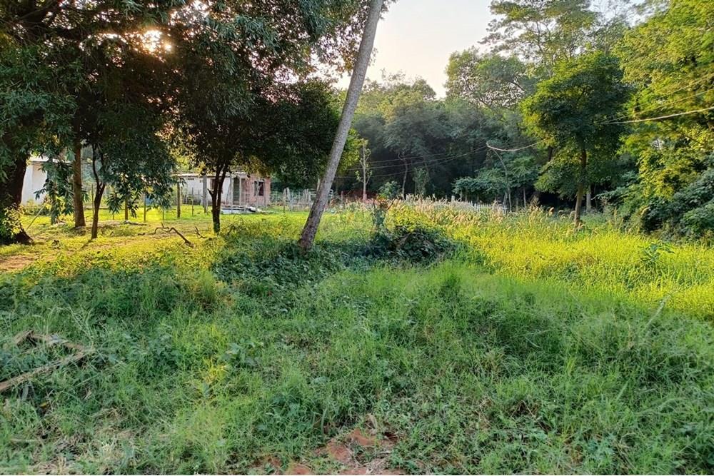 Terreno - Venta - Paraguay Central Ñemby - WhatsApp Image 2025-02-03 at 11.13.33 AM.jpeg - 143095028-1
