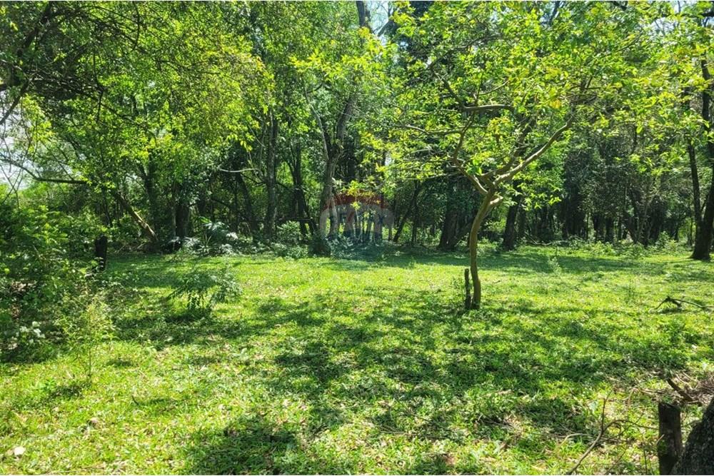 Finca Agrícola - Venta - Paraguay Caazapá San Juan Nepomuceno - 5.jpg - 143095004-90