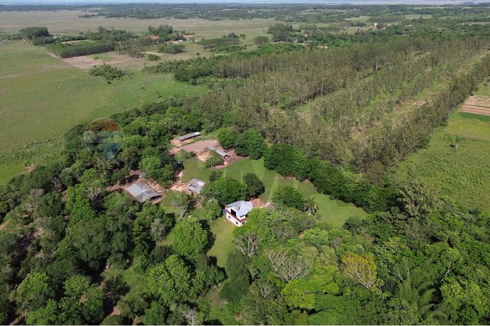 Commercieel - Boerderij - Paraguay Caaguazú Coronel Oviedo - PY - DJI_0649.JPG - 143050100-33