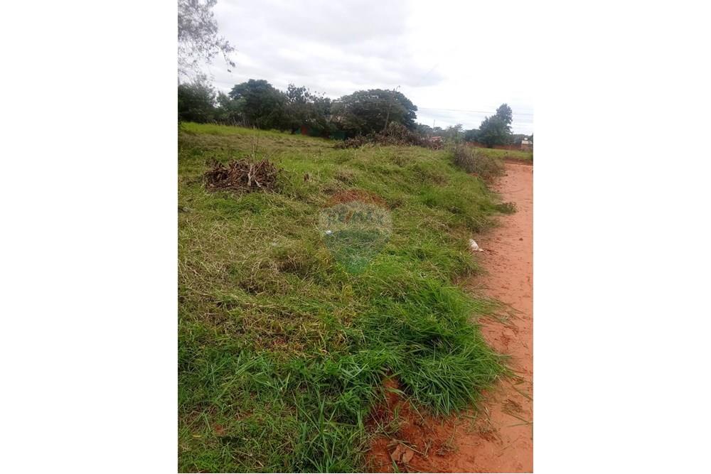 Residential - Land - Paraguay San Pedro Liberación - PY - WhatsApp Image 2025-06-30 at 18.37.55 (1).jpeg - 143050178-2