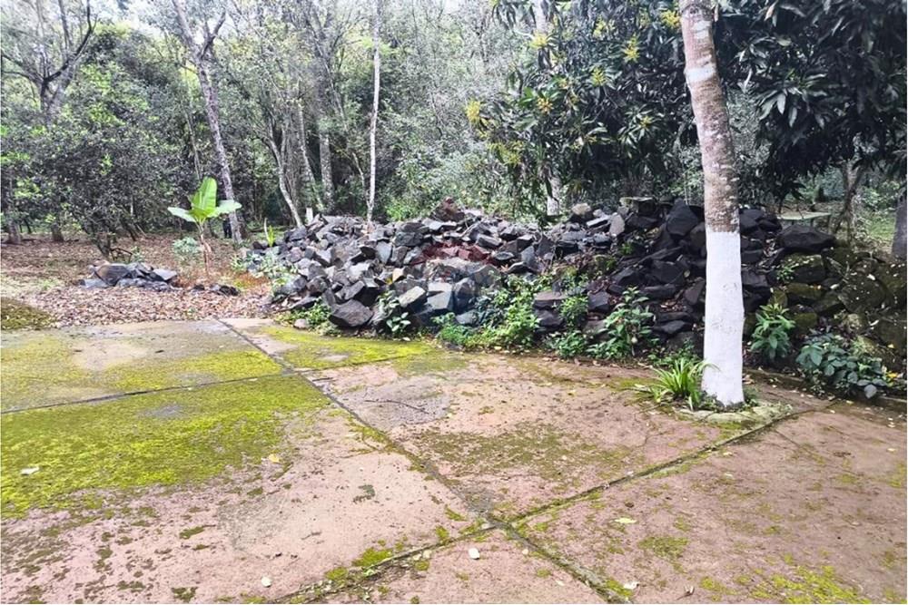 Residential - Jord - Paraguay Caaguazú Coronel Oviedo - PY - 3.jpg - 143063128-220