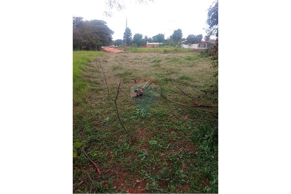 Residential - Land - Paraguay San Pedro Liberación - PY - WhatsApp Image 2025-06-30 at 18.37.55.jpeg - 143050178-2