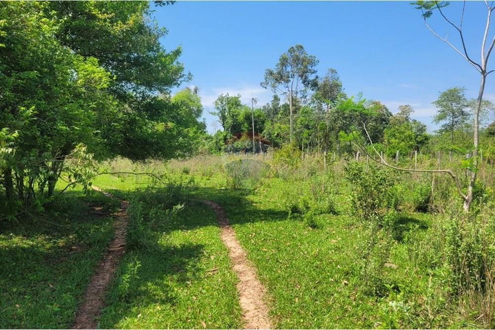 Finca Agrícola - Venta - Paraguay Caazapá San Juan Nepomuceno - 1.jpg - 143095004-90