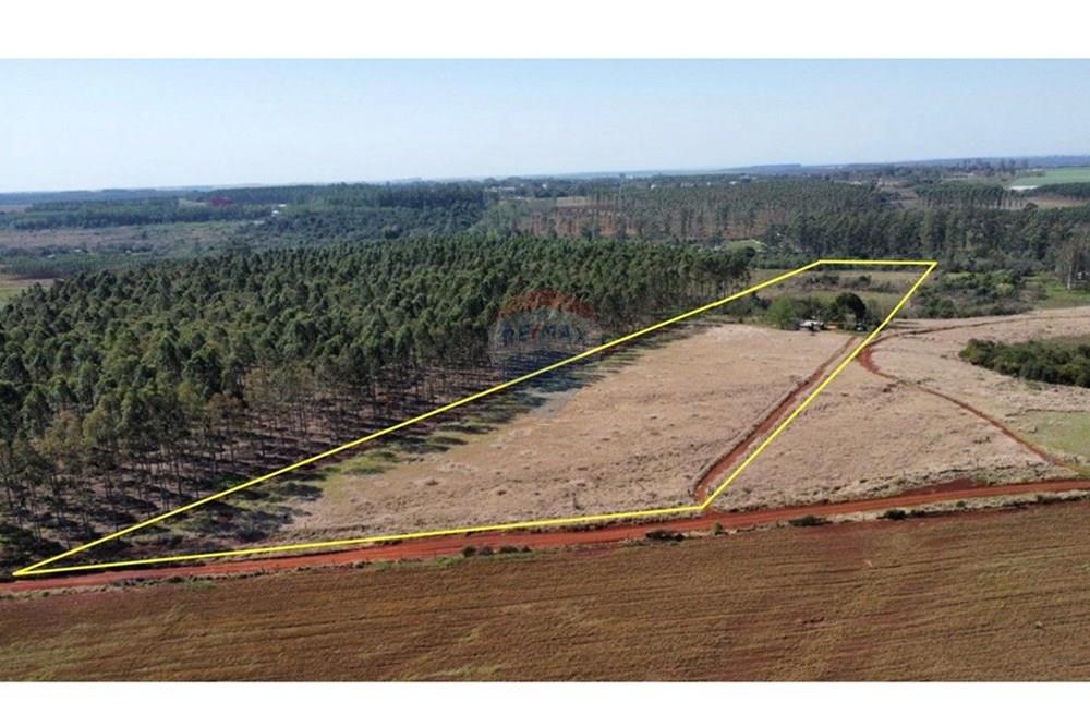 Commercial - Land - Paraguay Alto Paraná Hernandarias - PY - WhatsApp Image 2025-08-31 at 17.03.28.jpeg - 143050002-227