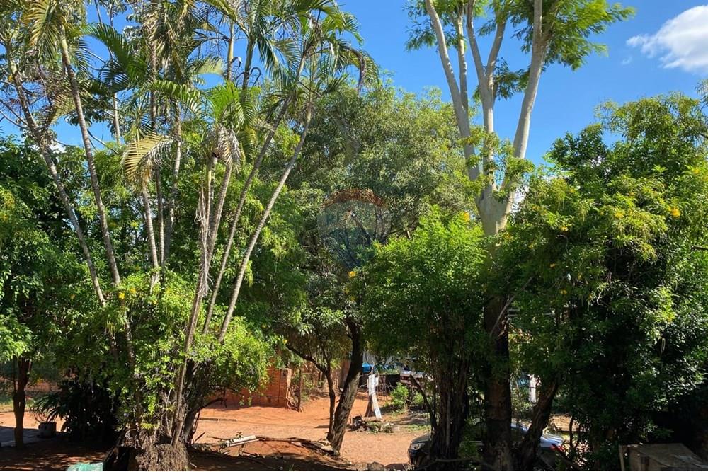 Жилищен - Поземлен имот - Парагвай Central San Lorenzo - PY - a6bf2283-c094-4e97-b77c-c845d967f11c.jpeg - 143080161-6