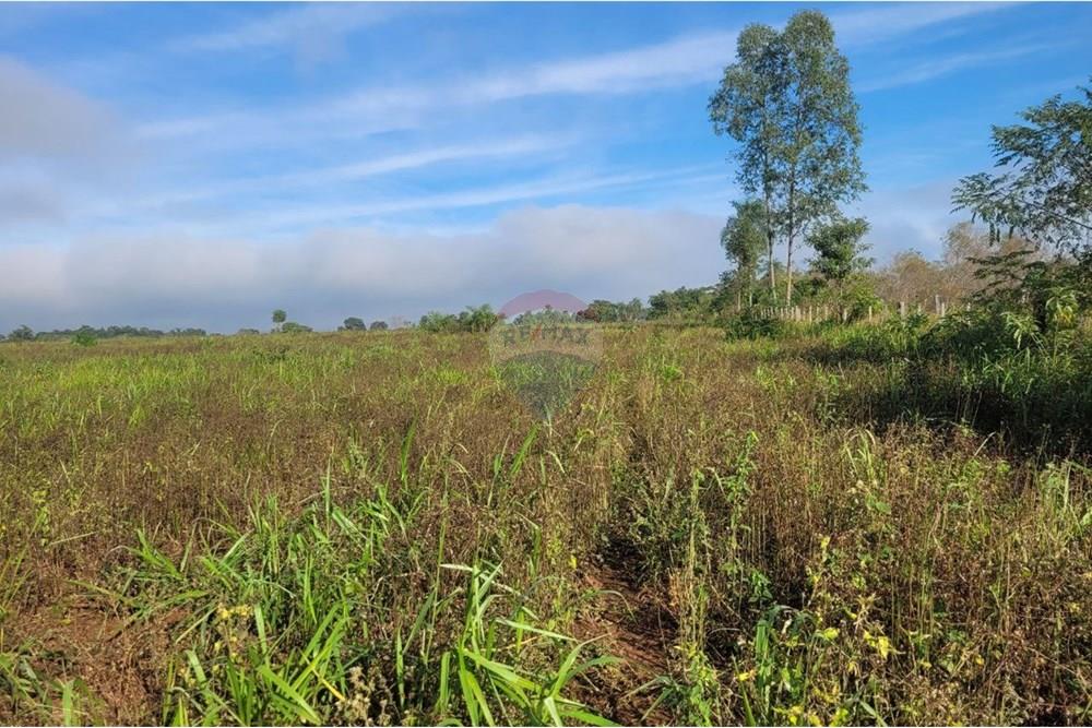 Finca Agrícola - Venta - Paraguay Caazapá Caazapá - 9.jpg - 143095004-83