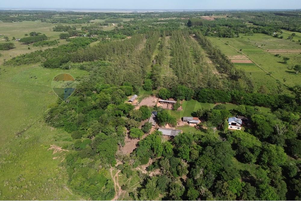 Commercieel - Boerderij - Paraguay Caaguazú Coronel Oviedo - PY - DJI_0628.JPG - 143050100-33