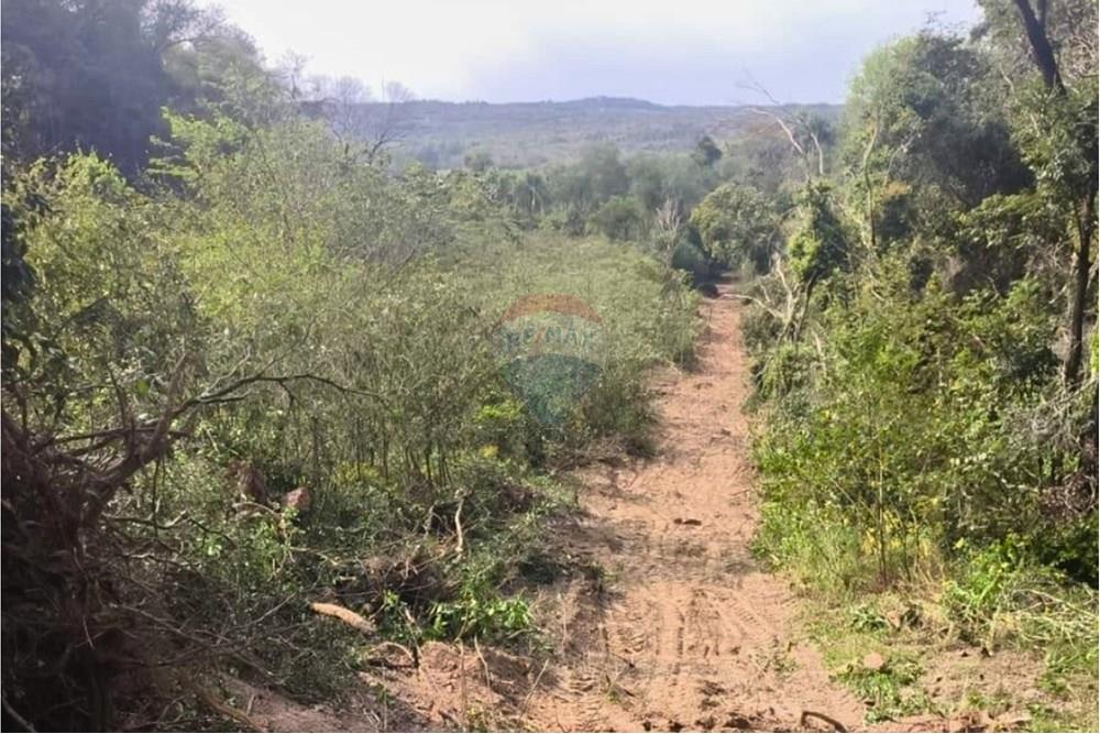 Residential - Jord - Paraguay Caaguazú Coronel Oviedo - PY - 9.jpg - 143063128-220