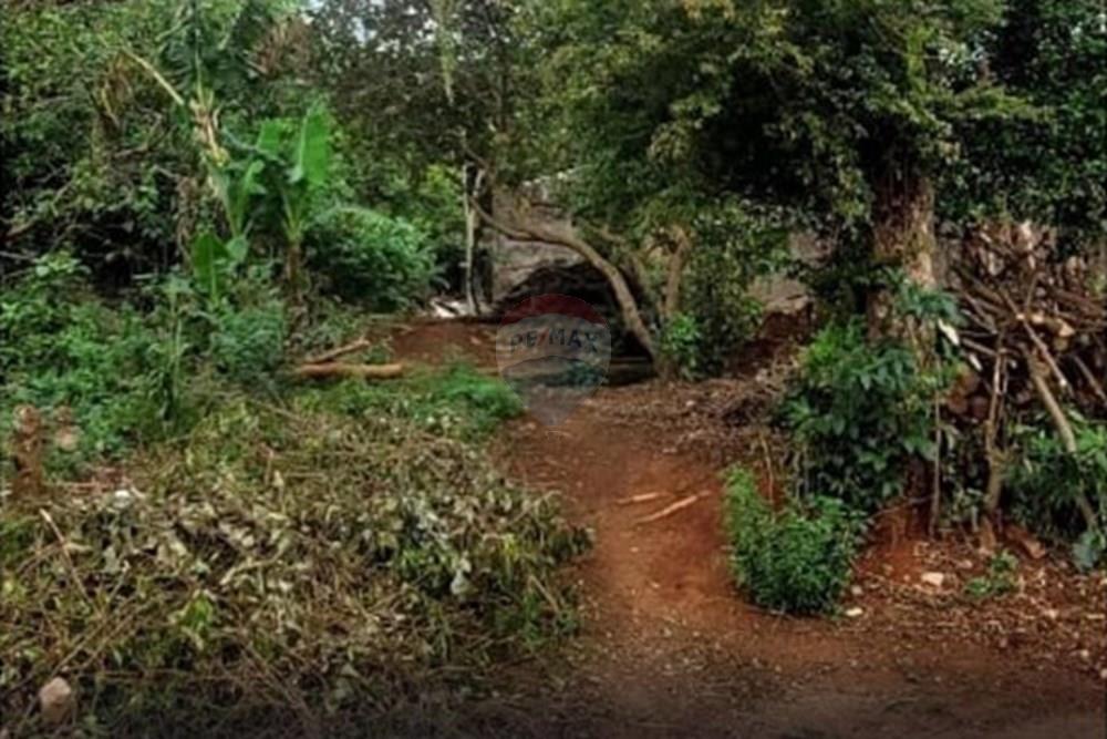 Gyvenamasis - Žemės sklypas - Paragvajus Alto Paraná Ciudad Del Este - PY - foto 4.jpeg - 143094036-28