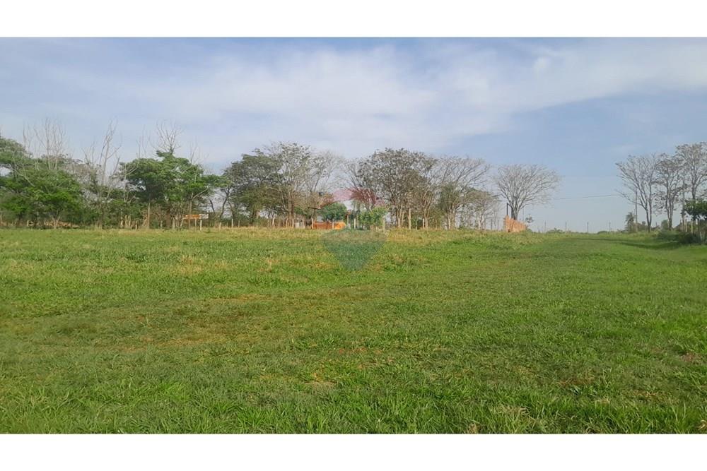 Terreno - Venta - Paraguay Alto Paraná Ciudad Del Este - 56b78872-9fa3-43fa-bf3f-50288c424666.jpeg - 114001098-2