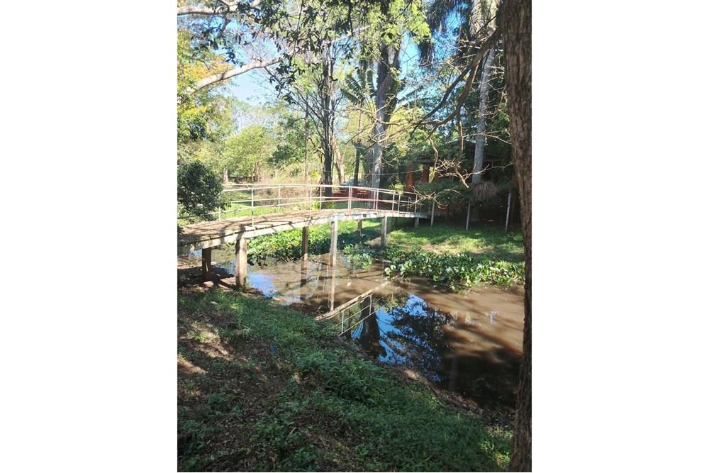 Commercial - Farm for Agriculture - Paraguay Alto Paraná Ciudad Del Este - PY - IMG_20251007_133414_840.jpg - 143050060-305