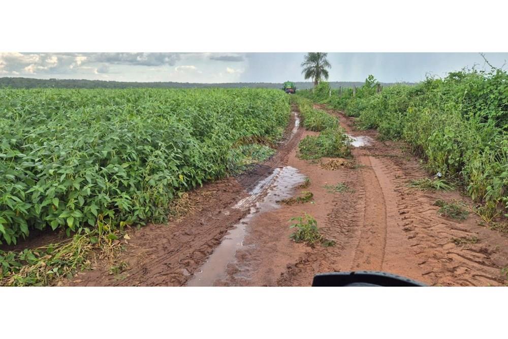 Commercial - Farm - Paraguay San Pedro General Elizardo Aquino - PY - IMG_20250707_090233_067.jpg - 143050060-297