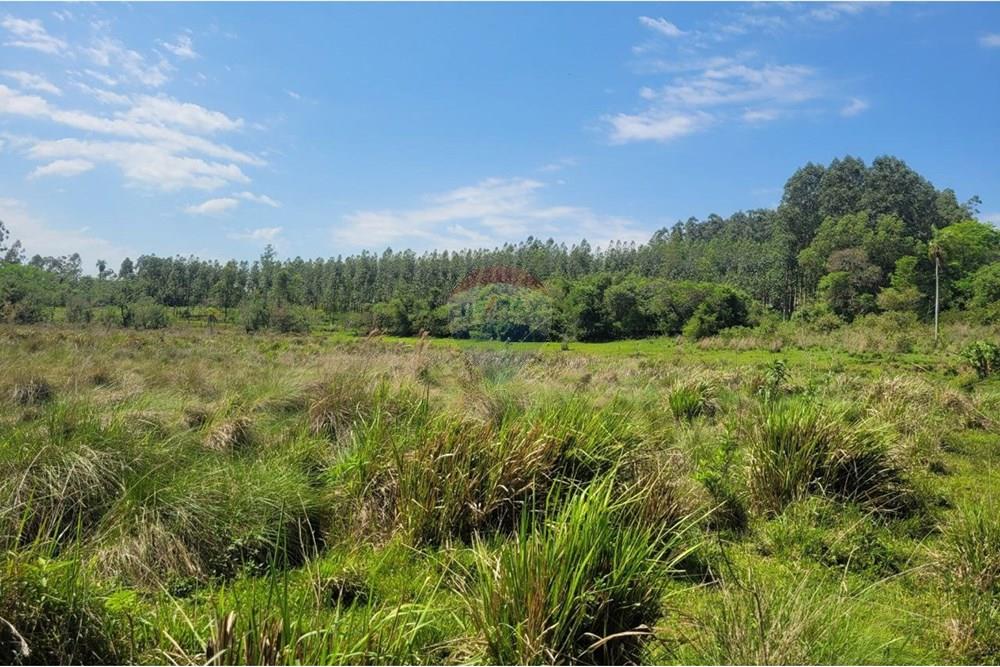 Finca Agrícola - Venta - Paraguay Caazapá San Juan Nepomuceno - 9.jpg - 143095004-90
