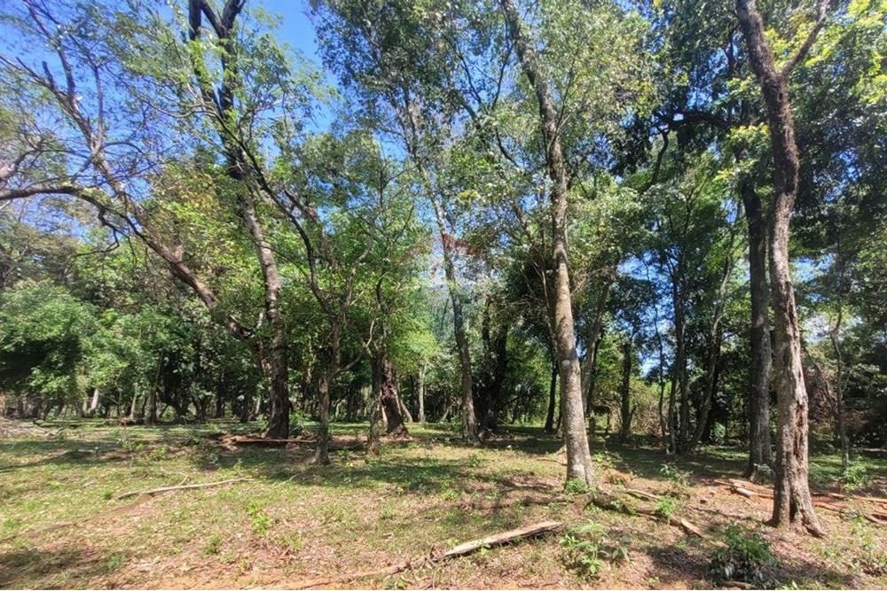 Finca Agrícola - Venta - Paraguay Caazapá San Juan Nepomuceno - 8.jpg - 143095004-90