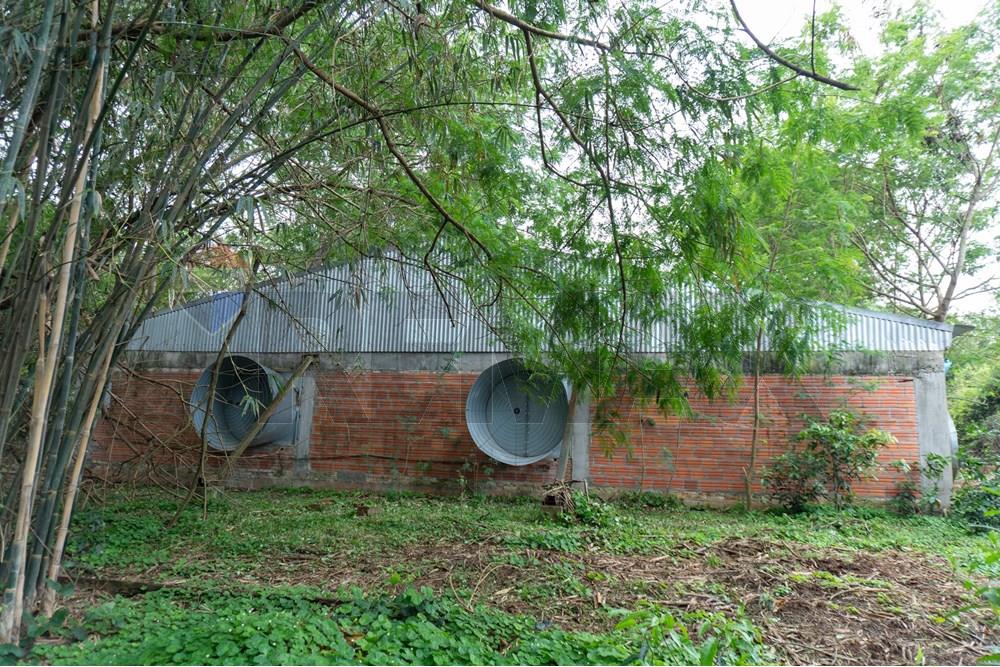 Commercial - Agricultural Farm - Paraguay Cordillera Itacurubí De La Cordillera - PY - FOTO1 (13 de 42).jpg - 143050097-75