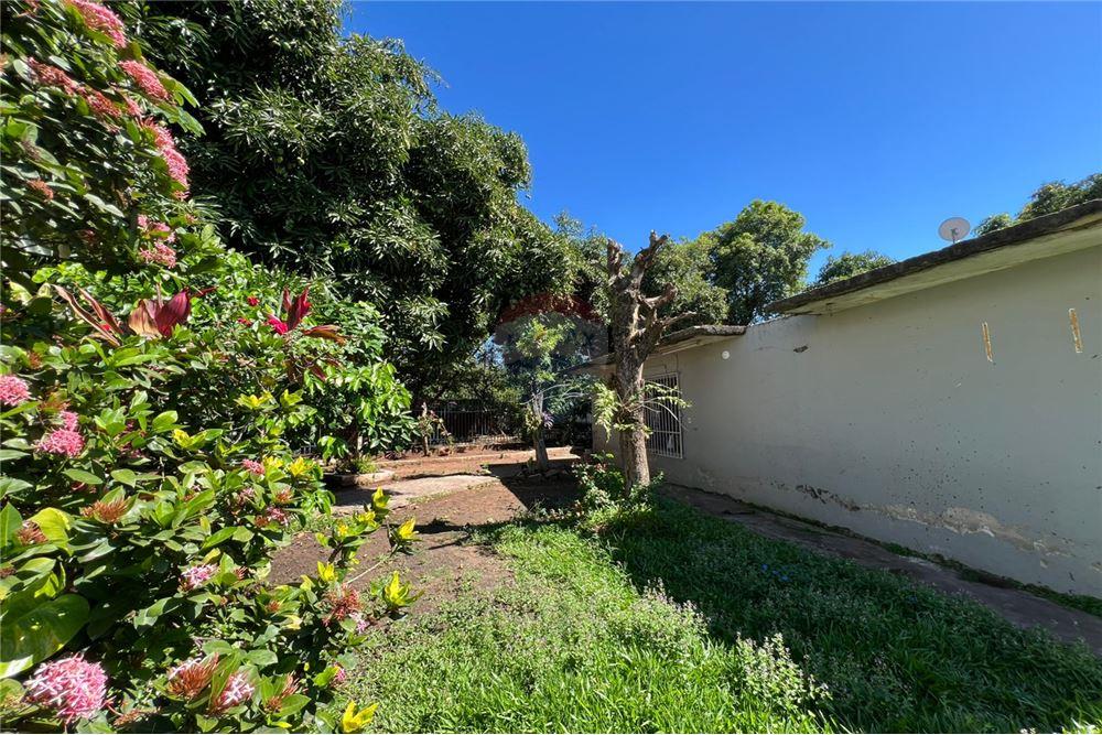 Bostad - Mark - Paraguay Central Fernando De La Mora - PY - 20 - 143019021-104