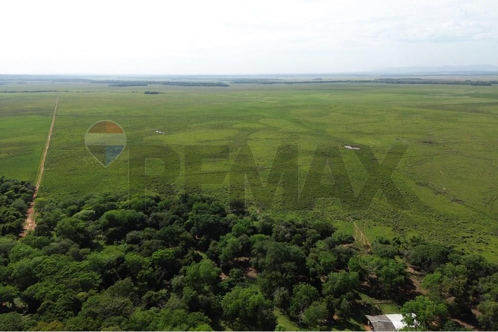 Commercieel - Boerderij - Paraguay Caaguazú Coronel Oviedo - PY - DJI_0645.JPG - 143050100-33