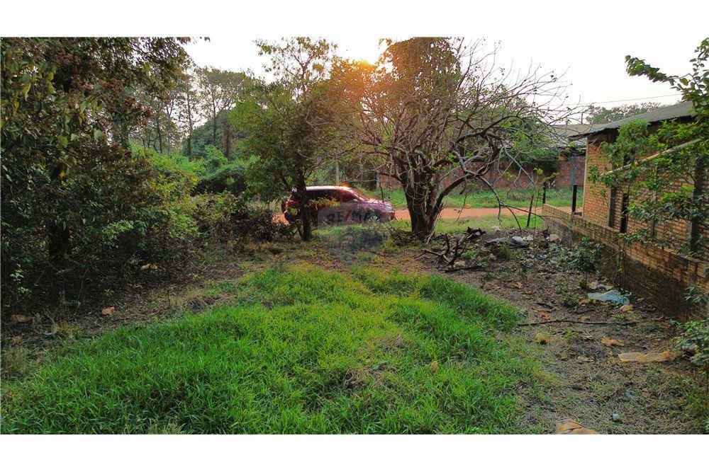 Rezidential - Teren - Paraguay Caaguazú Caaguazú - PY - 13 - 143014170-31