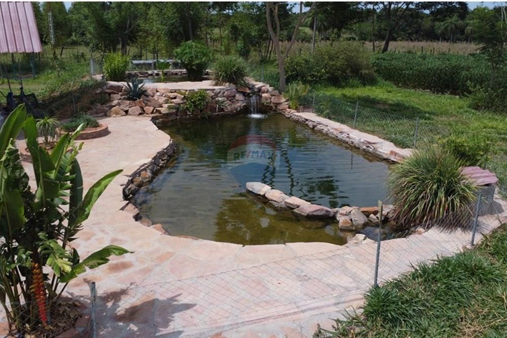 Commercial - Farm - Paraguay Guairá Natalicio Talavera - PY - 1 (2).JPG - 143050155-14