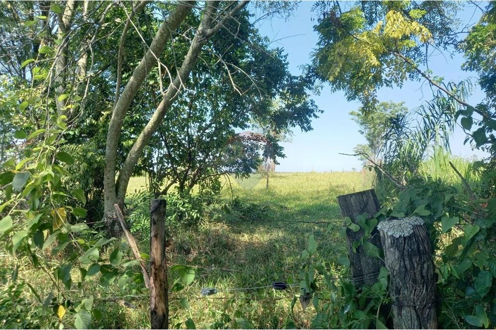 Finca Agrícola - Venta - Paraguay Caazapá Caazapá - photo_2025-01-13_11-22-58.jpg - 143095004-71