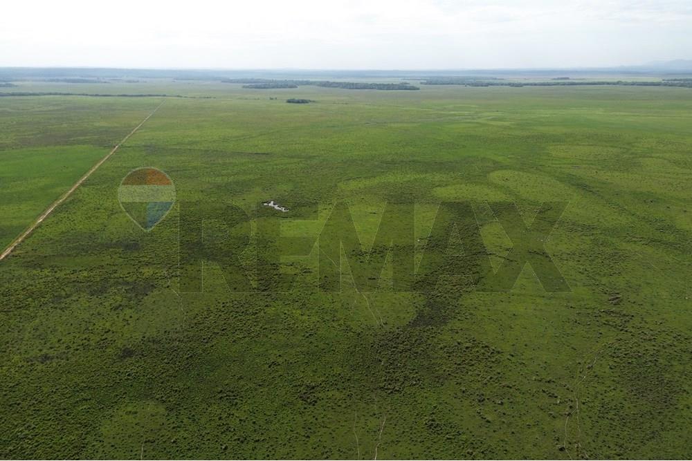 Commercieel - Boerderij - Paraguay Caaguazú Coronel Oviedo - PY - DJI_0627.JPG - 143050100-33