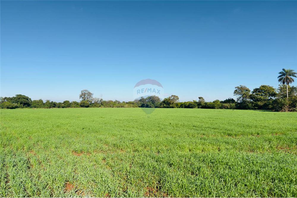 Mieszkaniowa - Działka - Paragwaj Itapúa Cambyretá - PY - 16 - 143011030-221