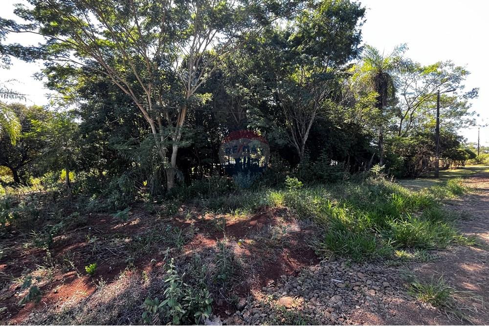 住宅 - 土地 - 巴拉圭 Itapúa Encarnación - PY - IMG_2065.jpg - 143011095-9