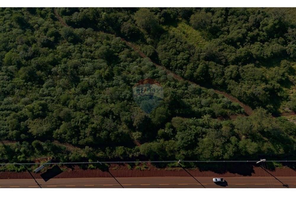 Commercial - Farm - Paraguay Alto Paraná Santa Fe del Paraná - PY - WhatsApp Image 2025-03-30 at 17.18.08.jpeg - 143050054-80