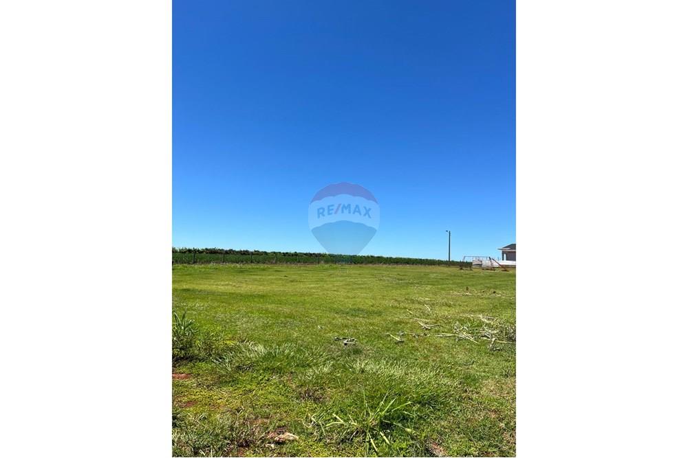 Residential - Land - Paraguay Alto Paraná San Alberto - PY - WhatsApp Image 2025-01-08 at 13.47.45 (3).jpeg - 143050150-15