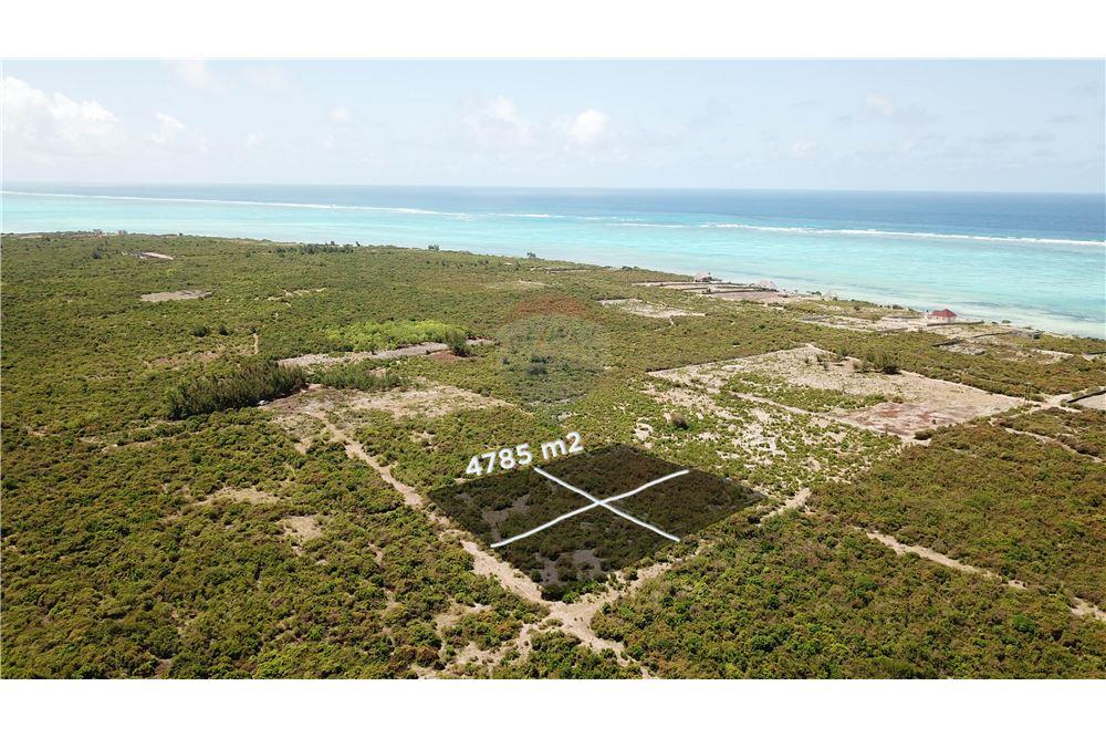 Land For Sale Zanzibar 11500601226