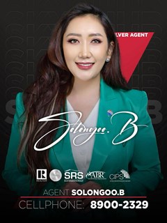 Solongoo Beejin - REMAX Sky