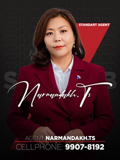 Narmandakh Tsagaankhuu - RE/MAX Hub