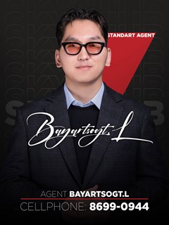 Bayartsogt Luvsanjamts - REMAX Sky
