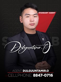 Dulguuntamir Orgilbold - REMAX Sky