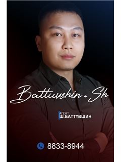 Battuvshin Shagdar - RE/MAX Hub
