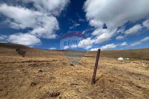 For Sale-Land-Sukhbaatar, Mongolia-119009366-118