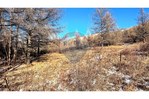 For Sale-Land-Sukhbaatar, Mongolia-119019038-13