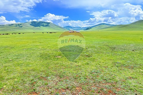 For Sale-Land-Songinokhairkhan, Mongolia-119012317-77
