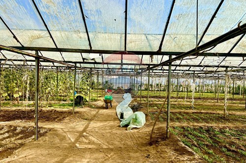 Slider Image Thumbnail