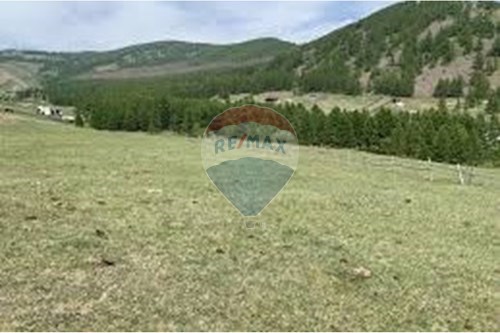 For Sale-Land-Songinokhairkhan, Mongolia-119086009-8