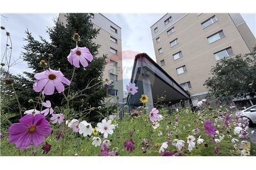 For Rent/Lease-Parking-🔯ХӨЛСЛҮҮЛНЭ🔯 Japan town c2-т гараж  - Khan-Uul, Mongolia-119083046-65