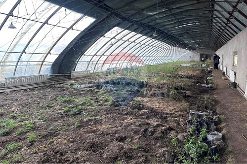 For Sale-Farm-0 Фермийн хэсэг  - Bayanchandmani, Mongolia-119020410-4