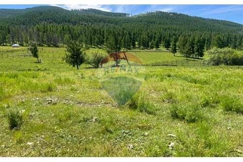 For Sale-Land-99 Шар хоолой  - Bayanzurkh, Mongolia-119009241-480