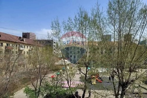 For Sale-Condo/Apartment-Chingeltei, Mongolia-119036054-1000