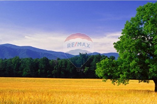 For Sale-Land-Nalaikh, Mongolia-119075036-37