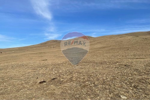 For Sale-Land-0 Адуучдын хотхон  - Төв аймаг Сэргэлэн  - Sergelen, Mongolia-119009353-43