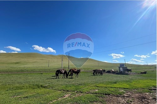 For Sale-Land-Bayantsogt, Mongolia-119012319-24